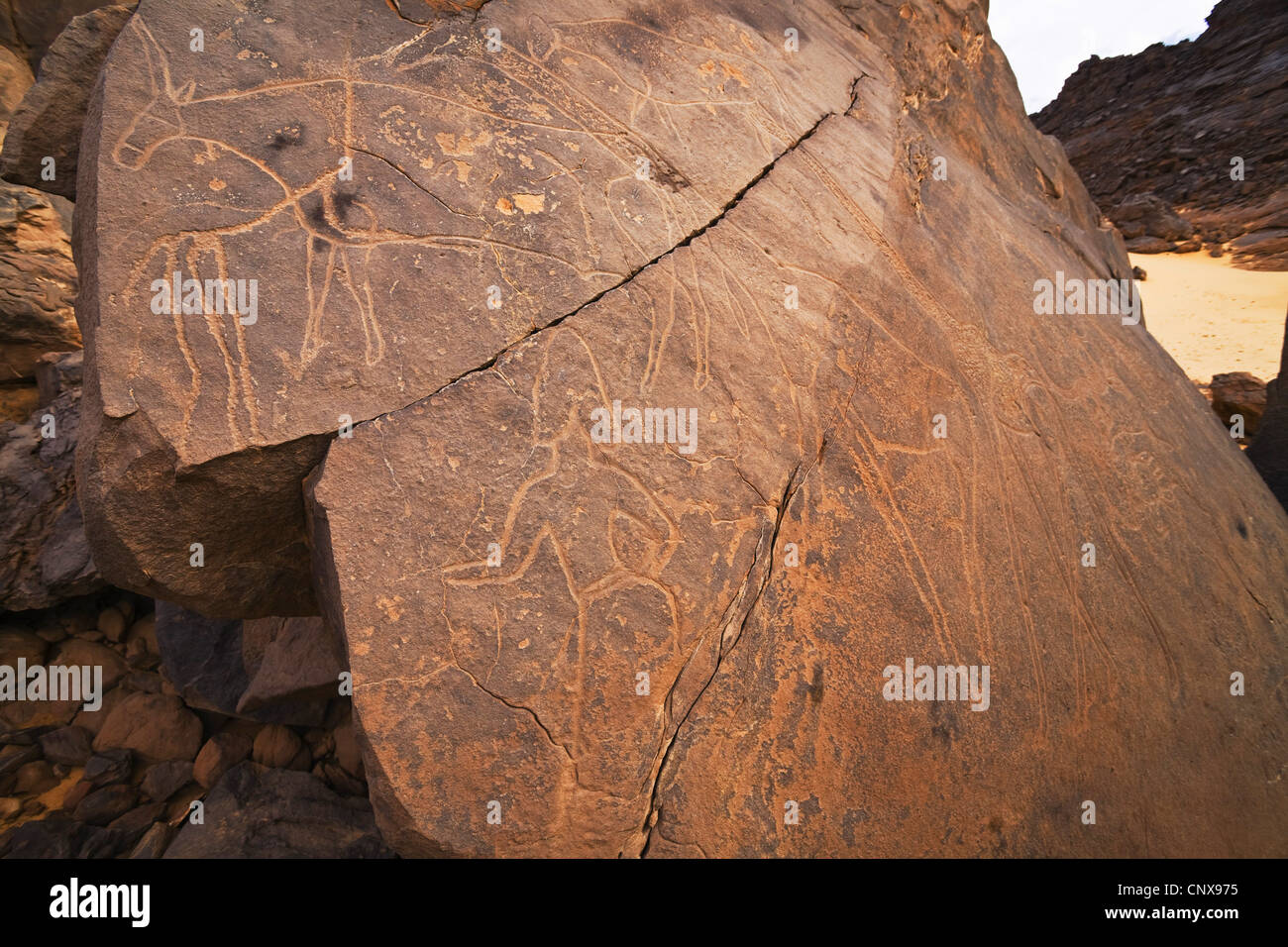 rock engravings in the stone desert Tassili Maridet, Libya Stock Photo