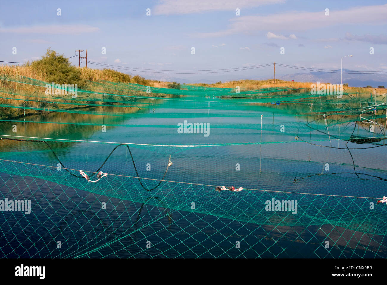 nets over aquaculture, Greece, Porto Lagos Stock Photo