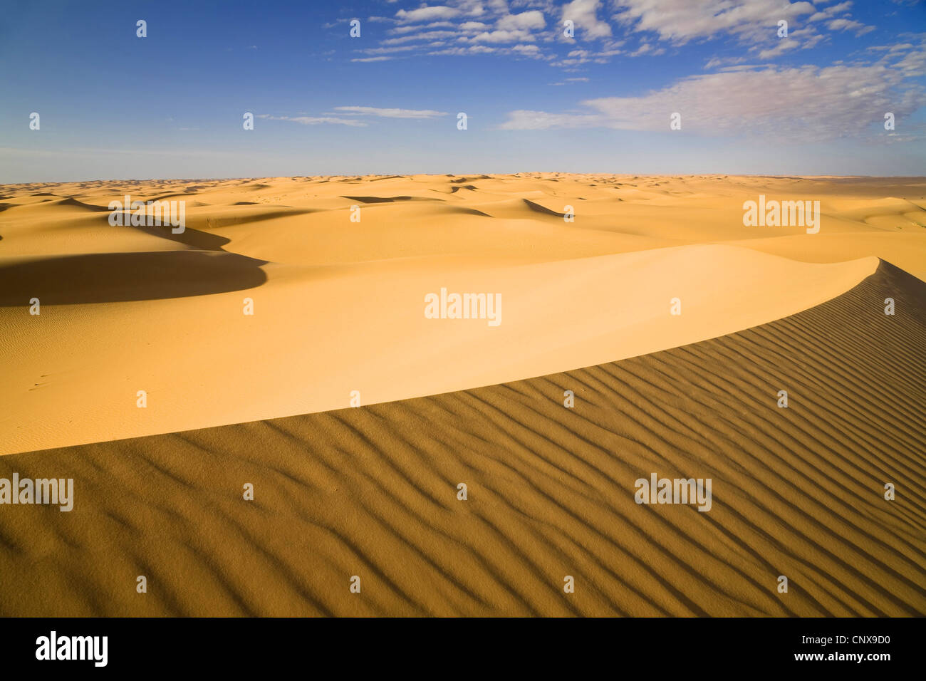 sanddunes in the Libyan desert, Libya, Sahara Stock Photo - Alamy