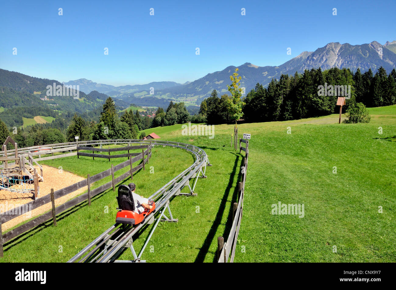 Alpine Coaster, all-weather toboggan chutes near Soellereck Lift, Germany, Bavaria, Allgaeu, Oberstdorf Stock Photo