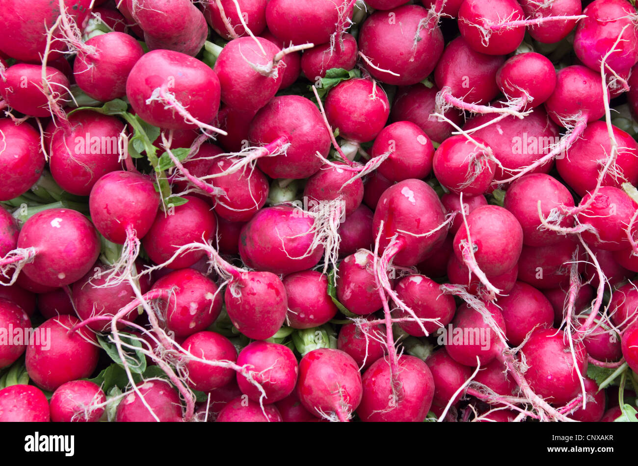Fresh red radishes on display at the farmers market Stock Photo Alamy