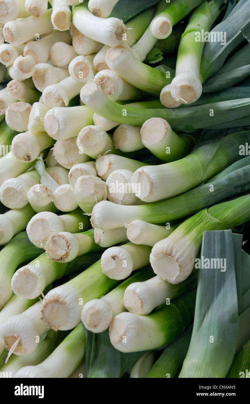 A display of fresh leeks at the farmers market Stock Photo - Alamy