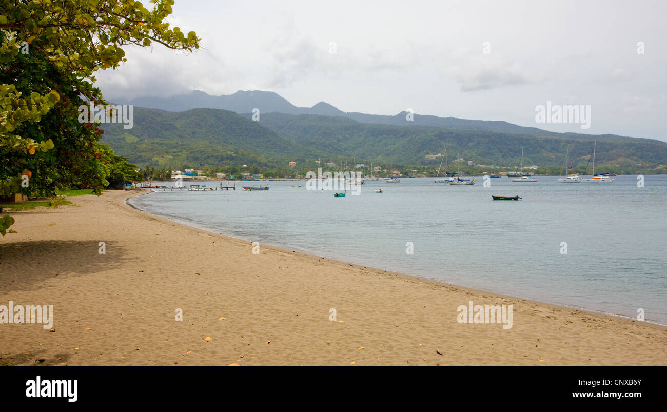 Dominica purple turtle beach hi-res stock photography and images - Alamy