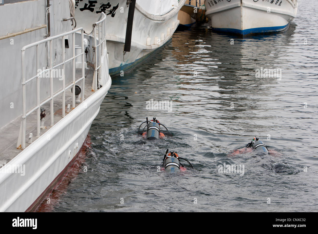 Japanese tsunami bodies