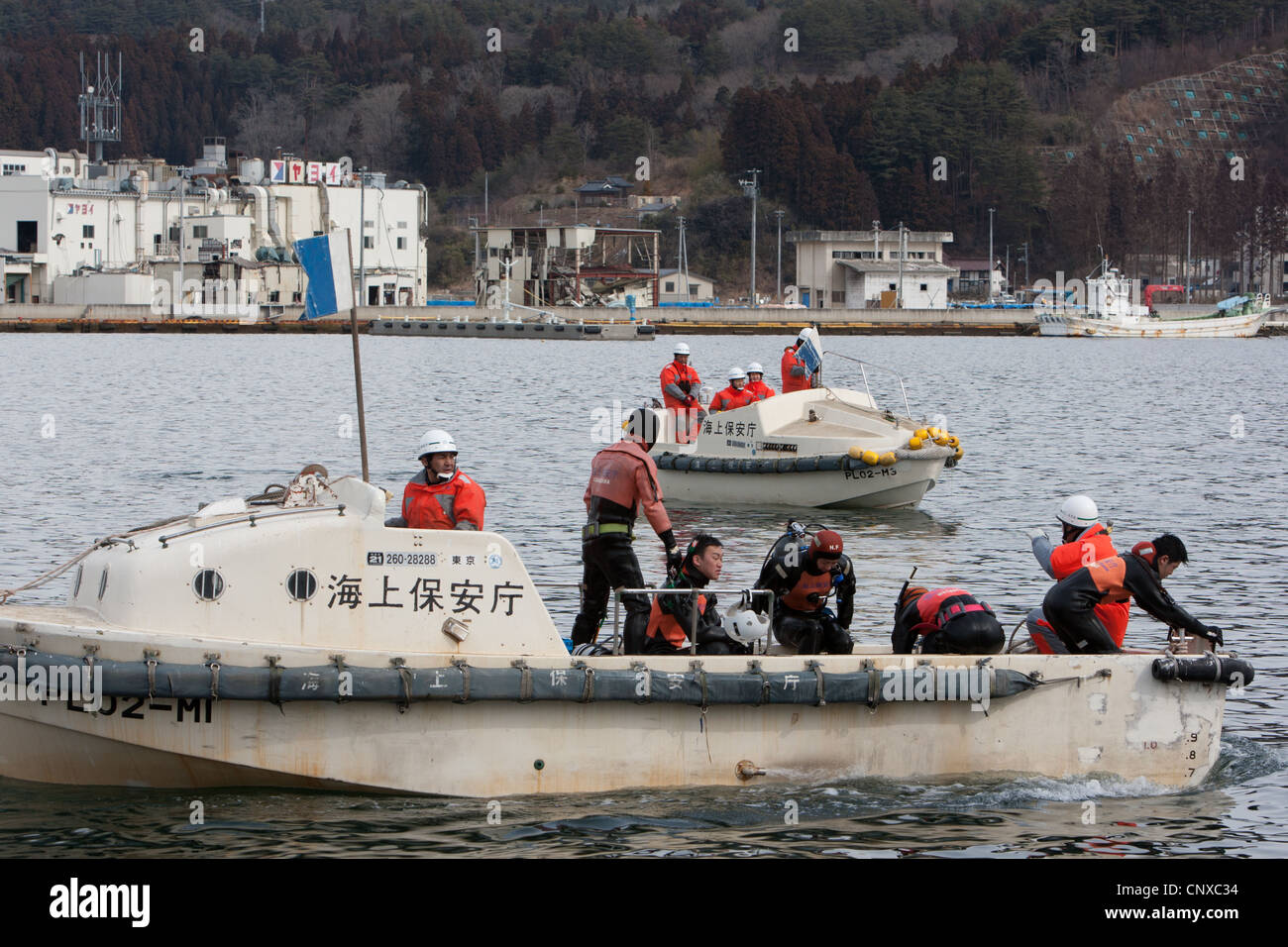 Japanese tsunami bodies