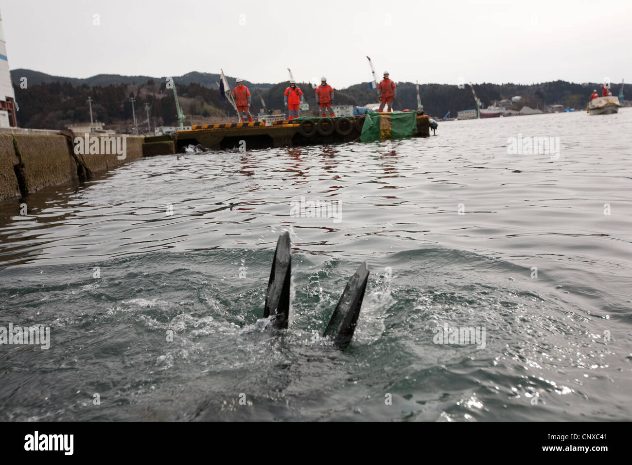 Japanese Coast Guard Search Underwater For The Bodies Of Victims