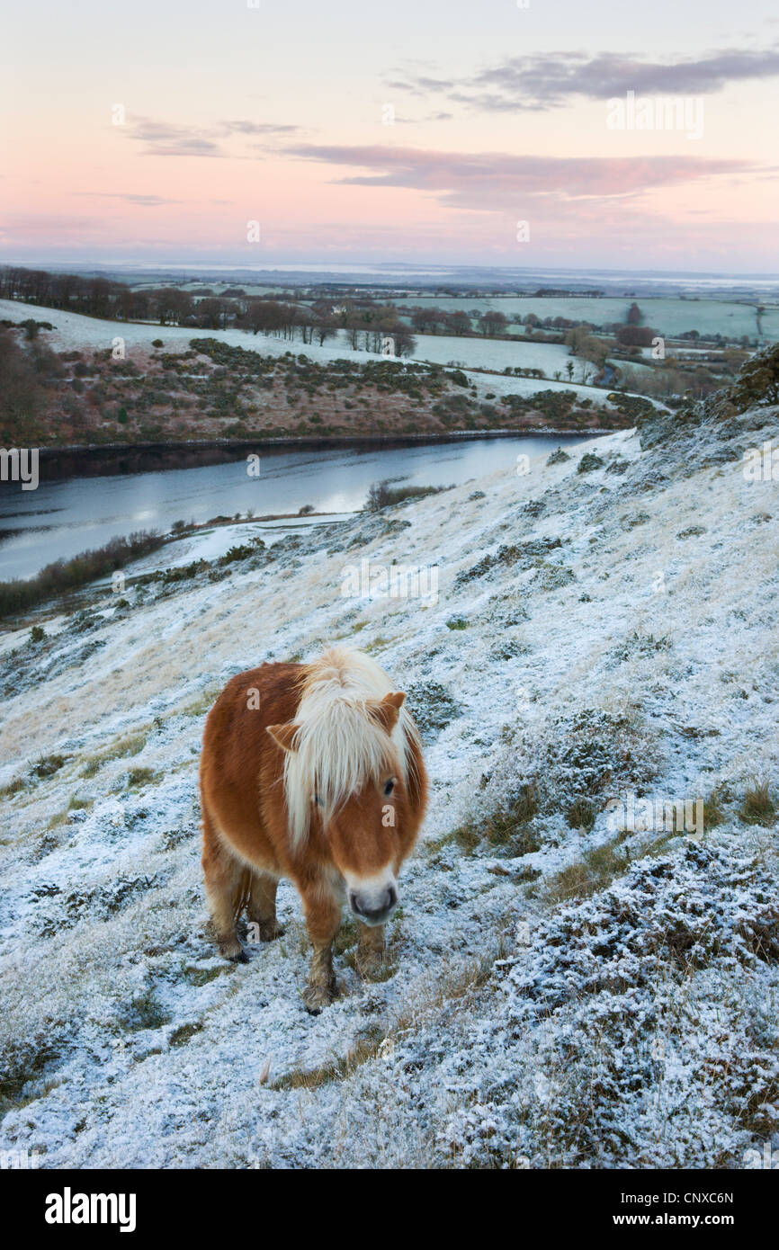 Dartmoor Winter High Resolution Stock Photography and Images Alamy