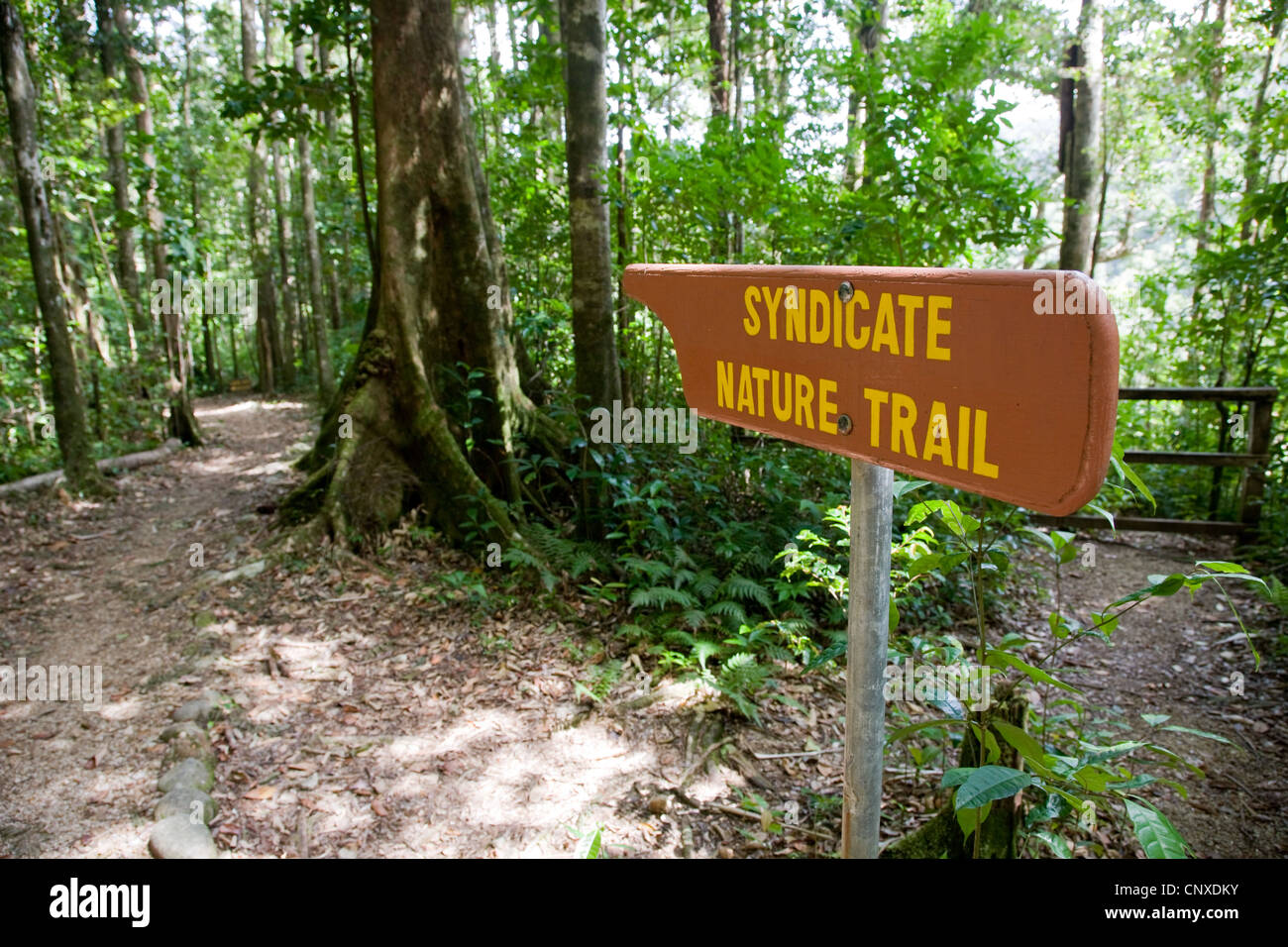 Syndicate Nature trail sign in primary rain forest of Dominica West Indies Stock Photo