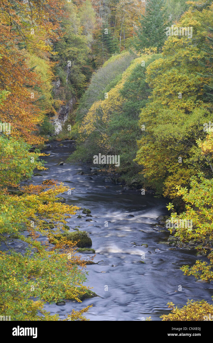 River Findhorn in autumn, United Kingdom, Scotland, Randolphs Leap Stock Photo