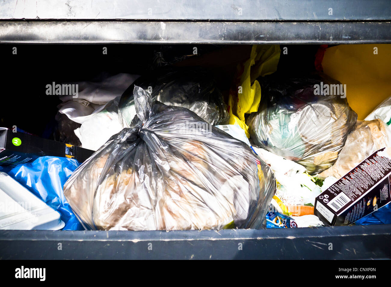 garbage in a waste container Stock Photo Alamy