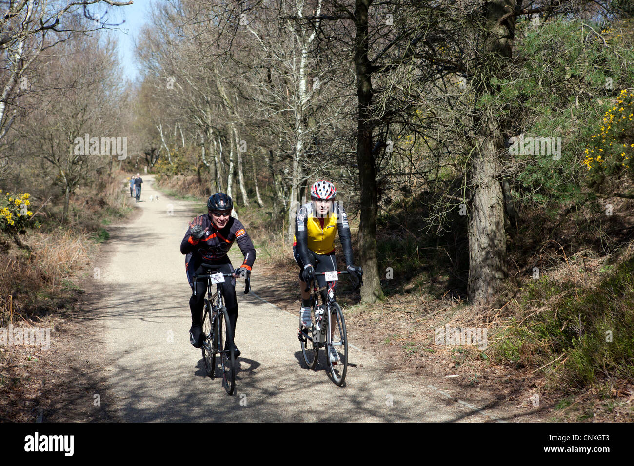 Cyclists competing in a road race on the Old Portsmouth road, a Byway & Quiet Lane around the Devil's Punchbowl, Hindhead Surrey Stock Photo