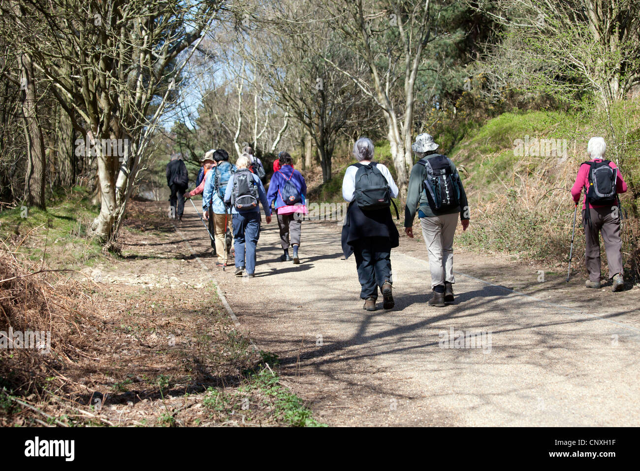 A group of ramblers on the Old Portsmouth road around the Devil's Punchbowl, Hindhead, Surrey Stock Photo