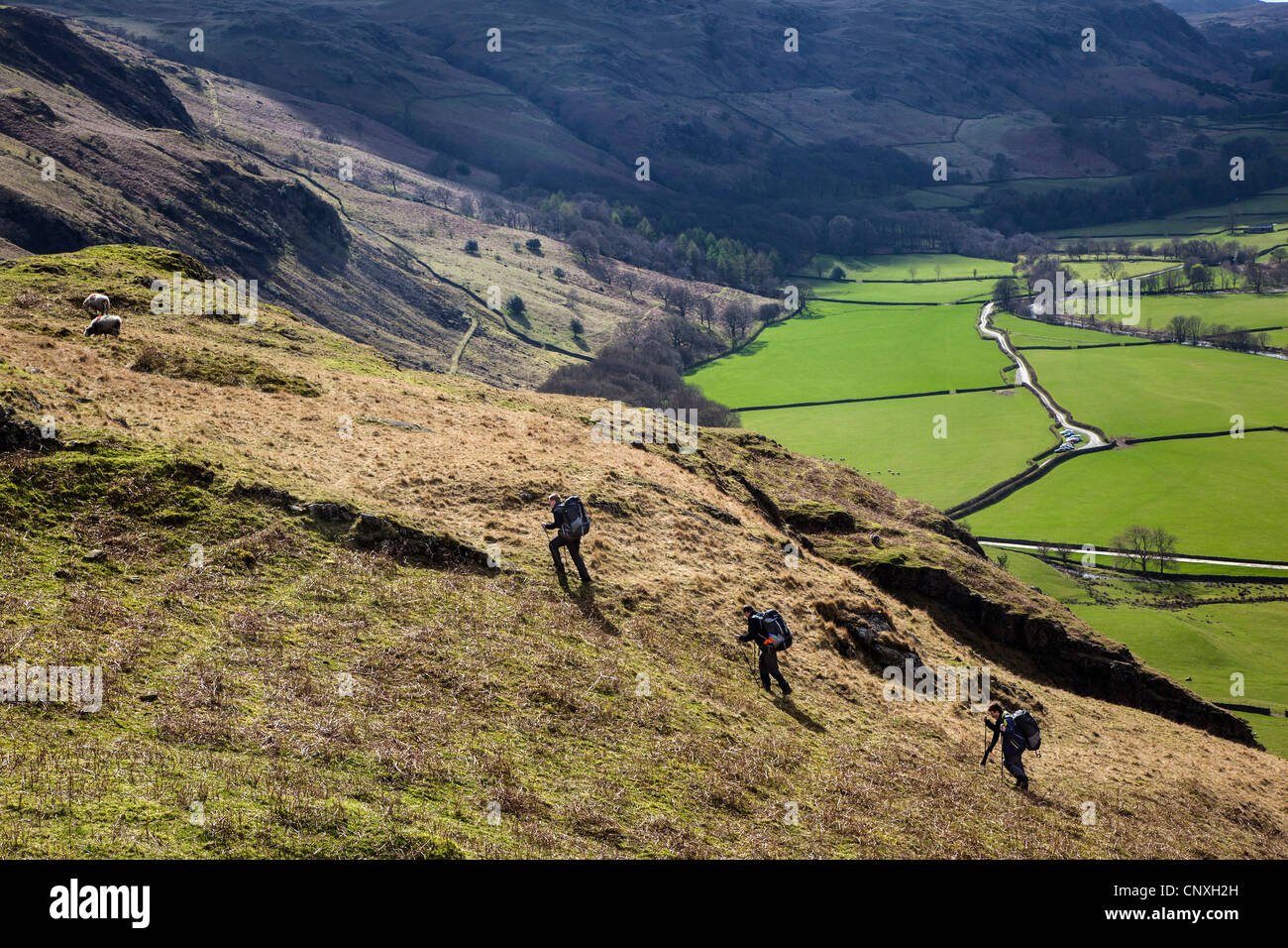 Walkers above Eskdale, Lake District National Park, Cumbria Stock Photo