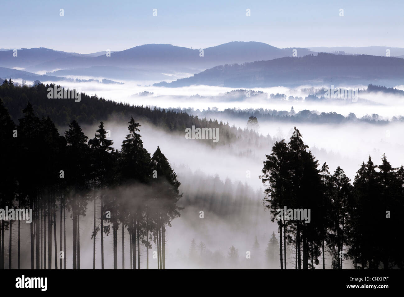 morning mist in the valleys of Arnsberg Forest , Germany, North Rhine-Westphalia, Sauerland, Meschede Stock Photo
