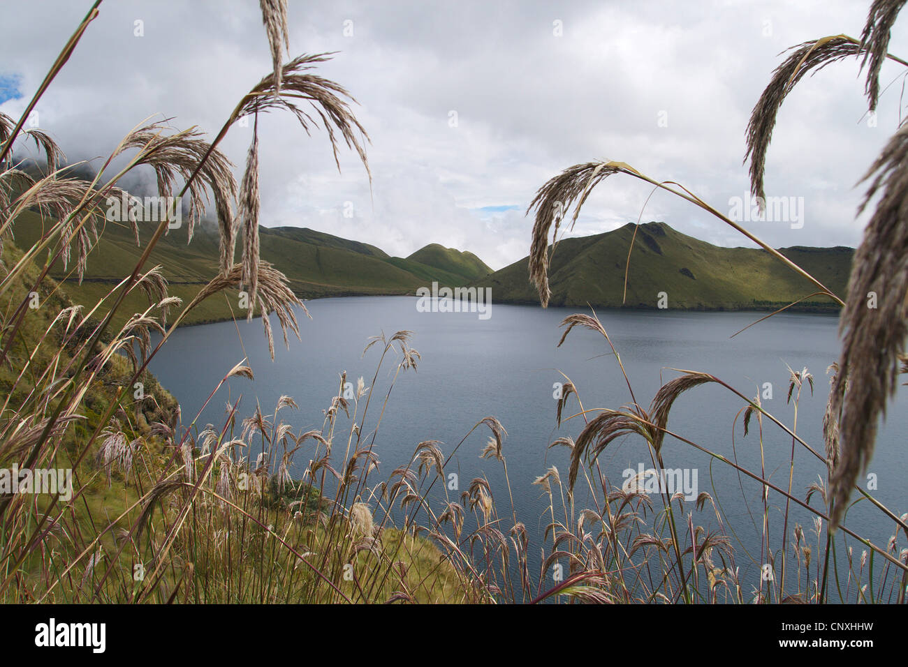 crater lake at volcano Mojanda belonging to the 'Lagunas de Mojanda