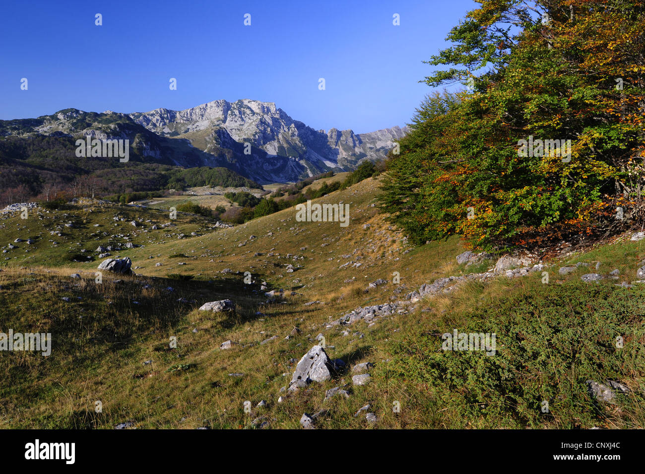 karst scenery, Montenegro, Durmitor National Park Stock Photo