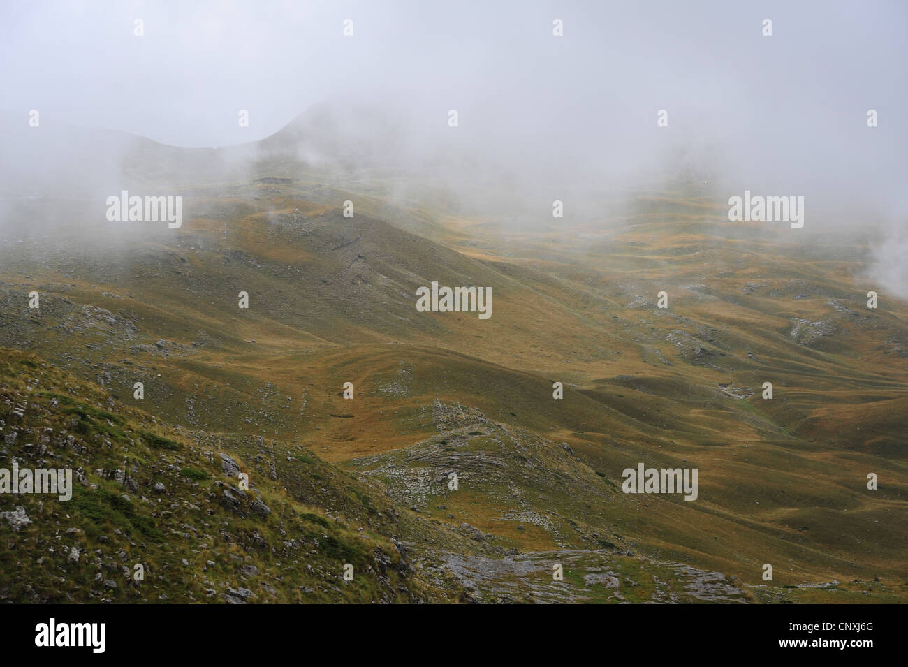 fog in the mountains, Montenegro, Durmitor National Park Stock Photo