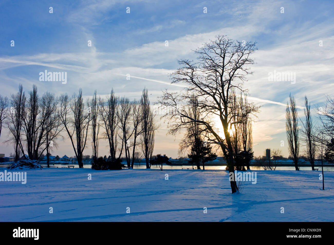 winter scenery of Bahrsplate, Germany, Bremen, Blumenthal Stock Photo