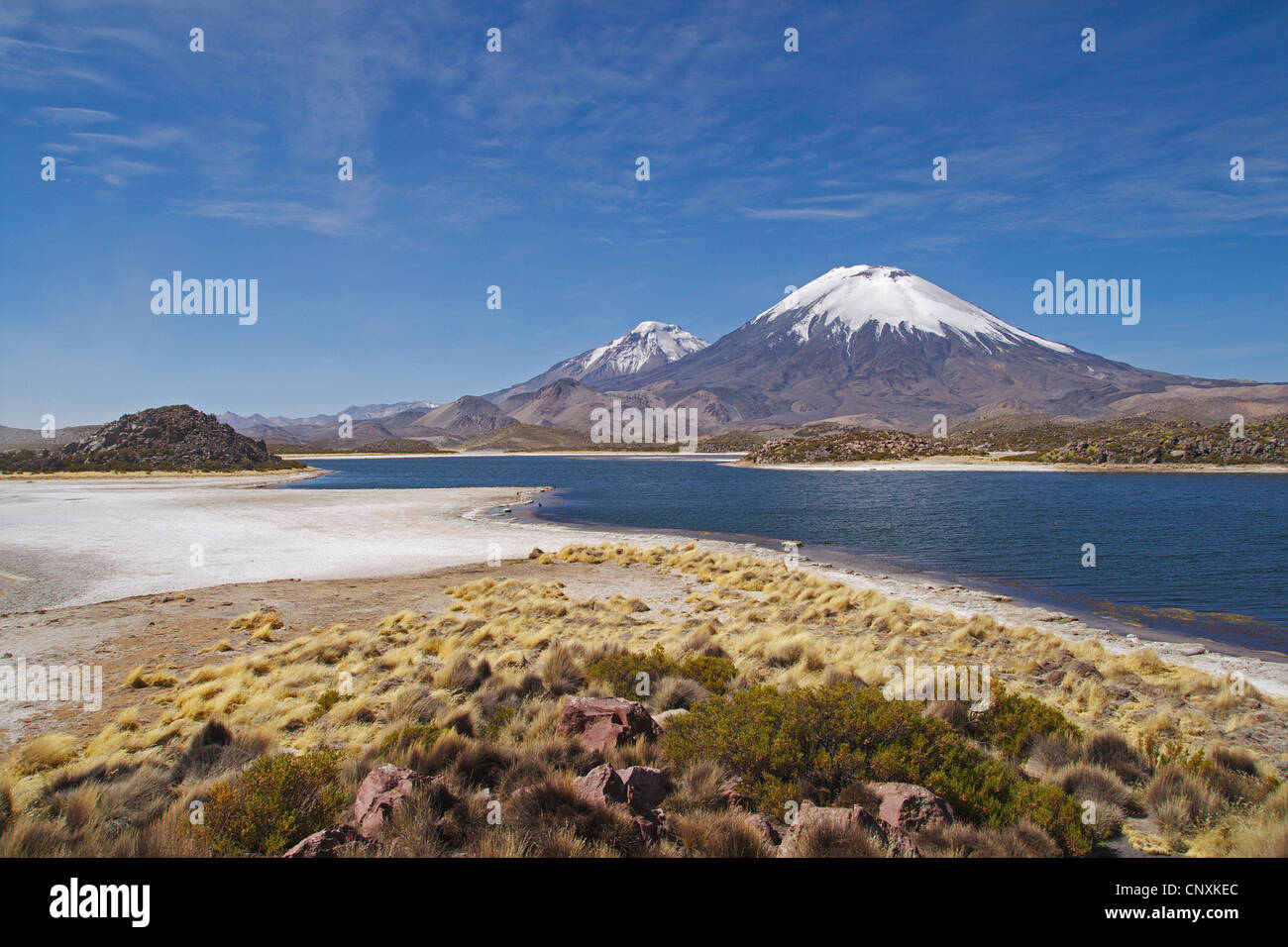 Cotacotani Lake and Pomerape and Parinacota volcanoes, Chile, Andes, Lauca  National Park Stock Photo - Alamy