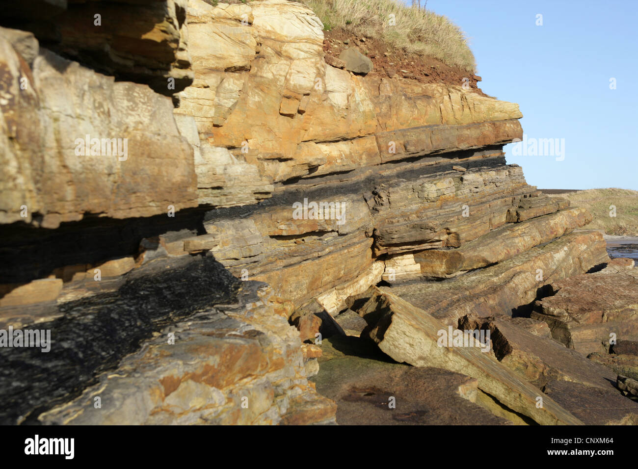 Coal seam in cliffs near Elie Fife Scotland. Stock Photo