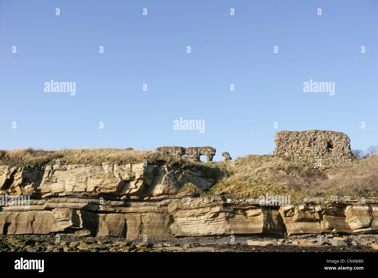 Ardross Castle near Elie Fife Scotland Stock Photo Alamy