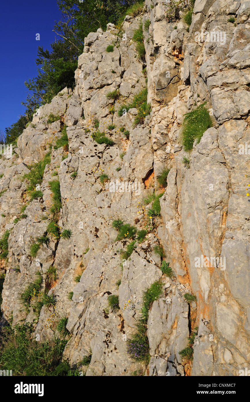 craggy rock wall, Croatia, Istria, Ucka Naturpark Stock Photo