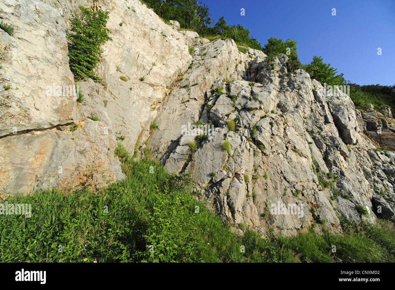craggy rock wall looming out of green landscape, Croatia, Istria, Ucka Naturpark Stock Photo
