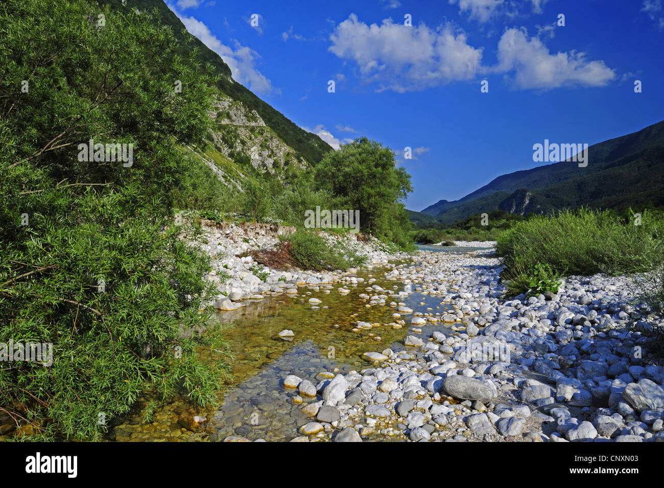 tributary to the Soca between looming mountains slopes, Slovenia, Soca-Tal Stock Photo