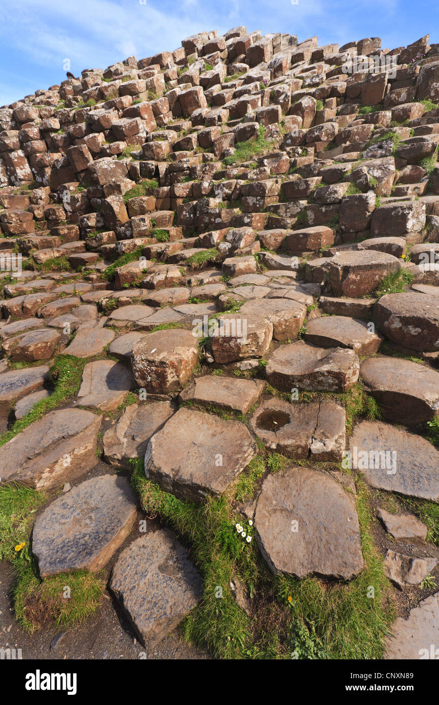 Columnar Shaped High Resolution Stock Photography and Images - Alamy