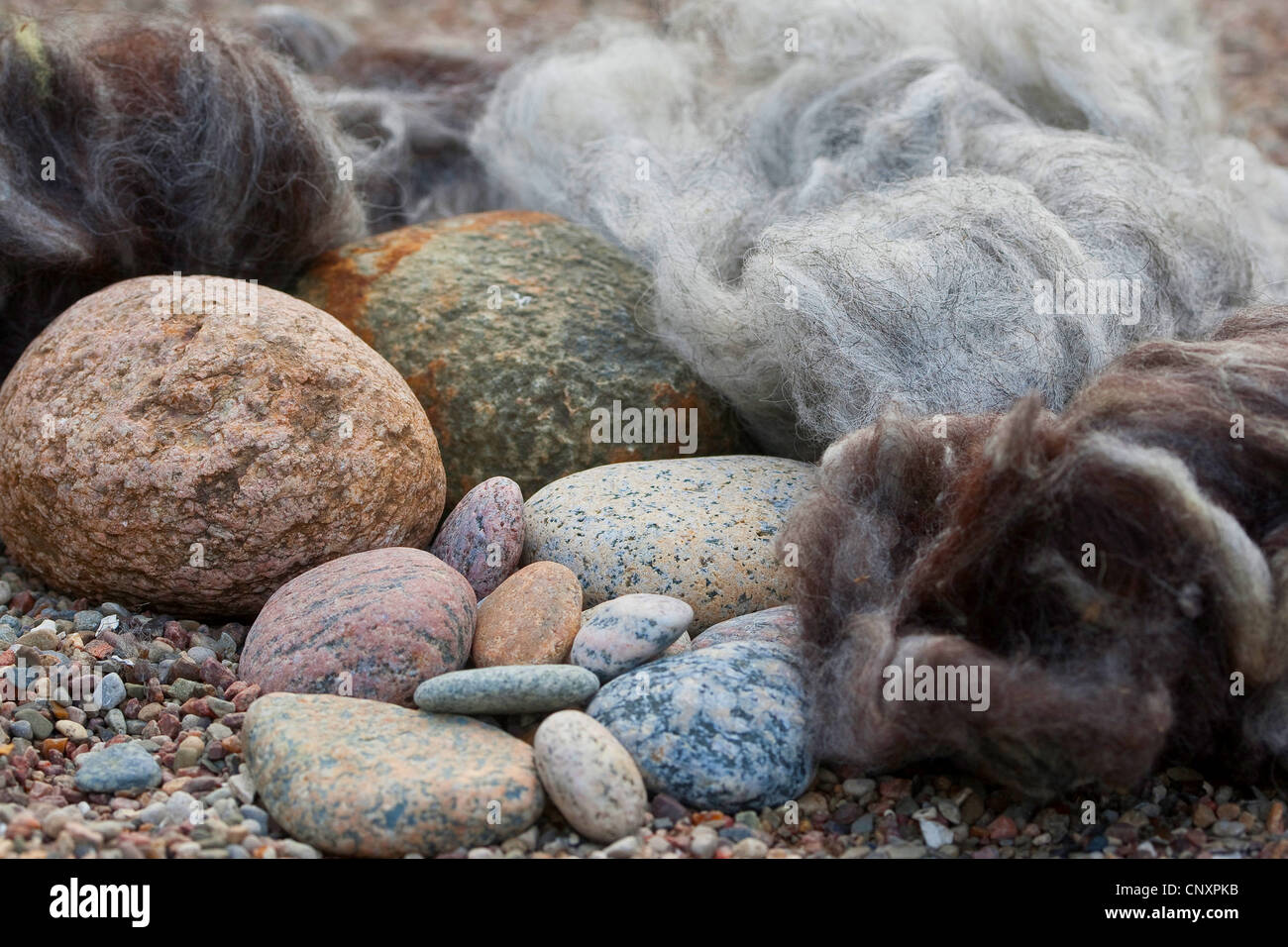 'felt stone trolls' serving as garden decoration: natural stones being equipped with caps of felted wool, Germany Stock Photo
