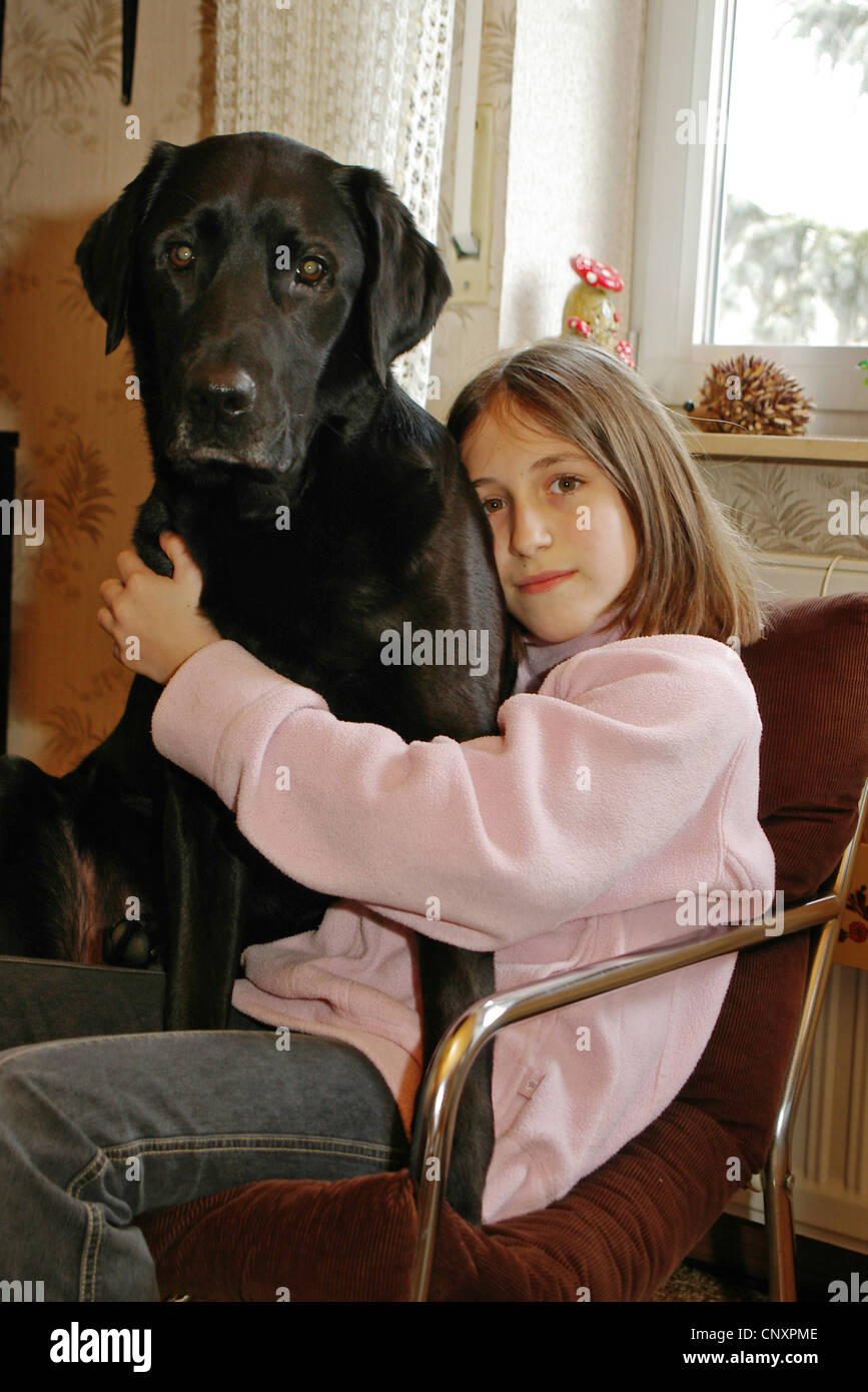 Labrador Retriever (Canis lupus f. familiaris), sitting on chair, embraced by a girl Stock Photo