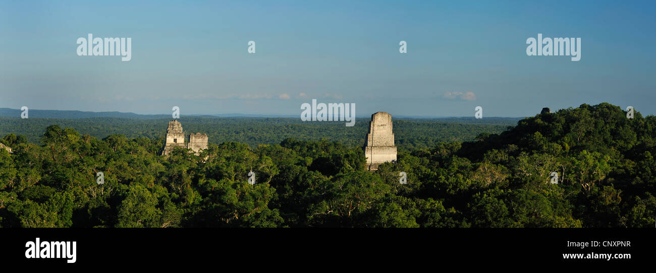 the pyramids of the Maya city Tikal towering out of the surrounding forest, Guatemala, Tikal Stock Photo