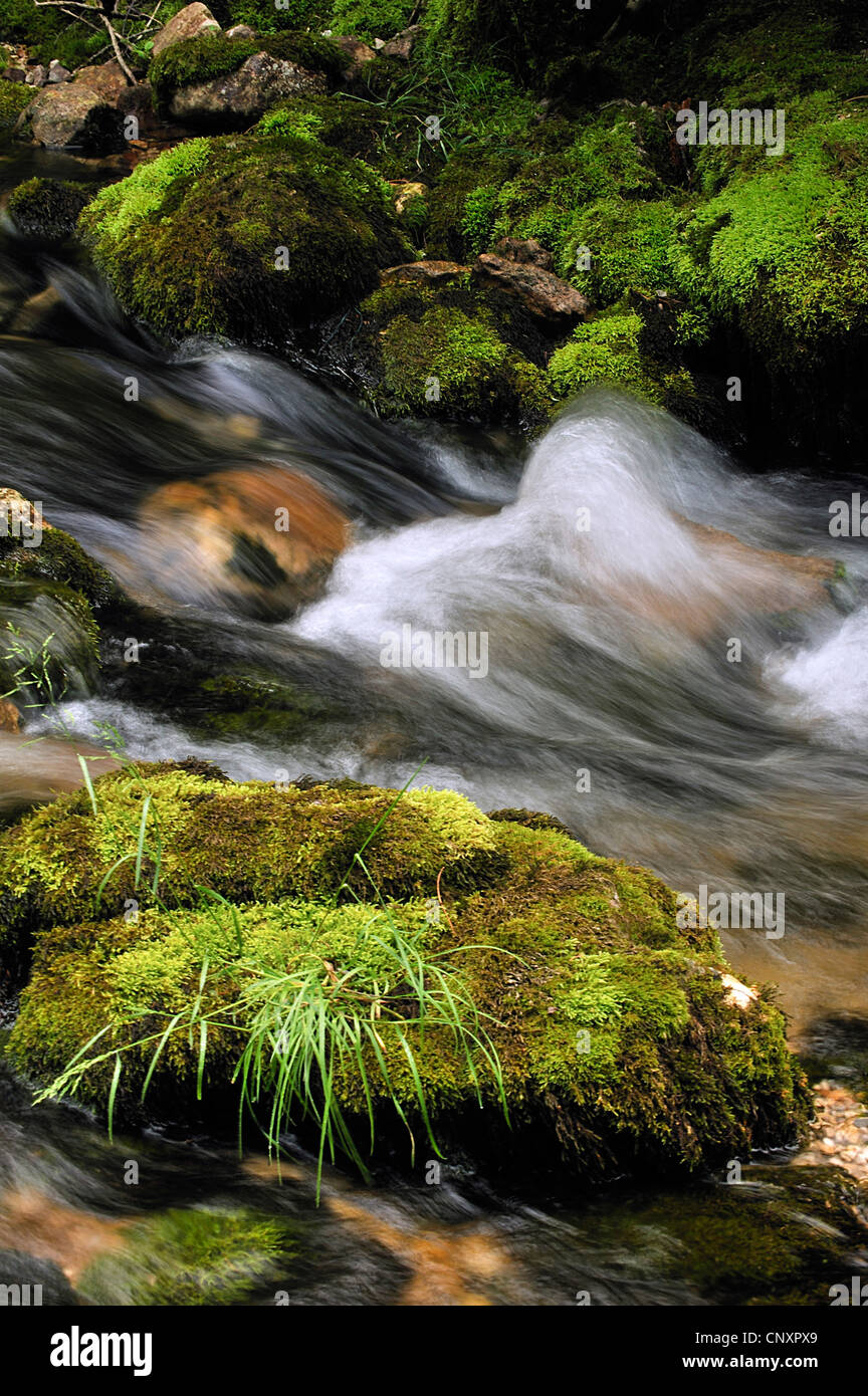 rapids in the river Archiane in bulb exposure, France, Is�re, Rh�ne-Alpes Stock Photo