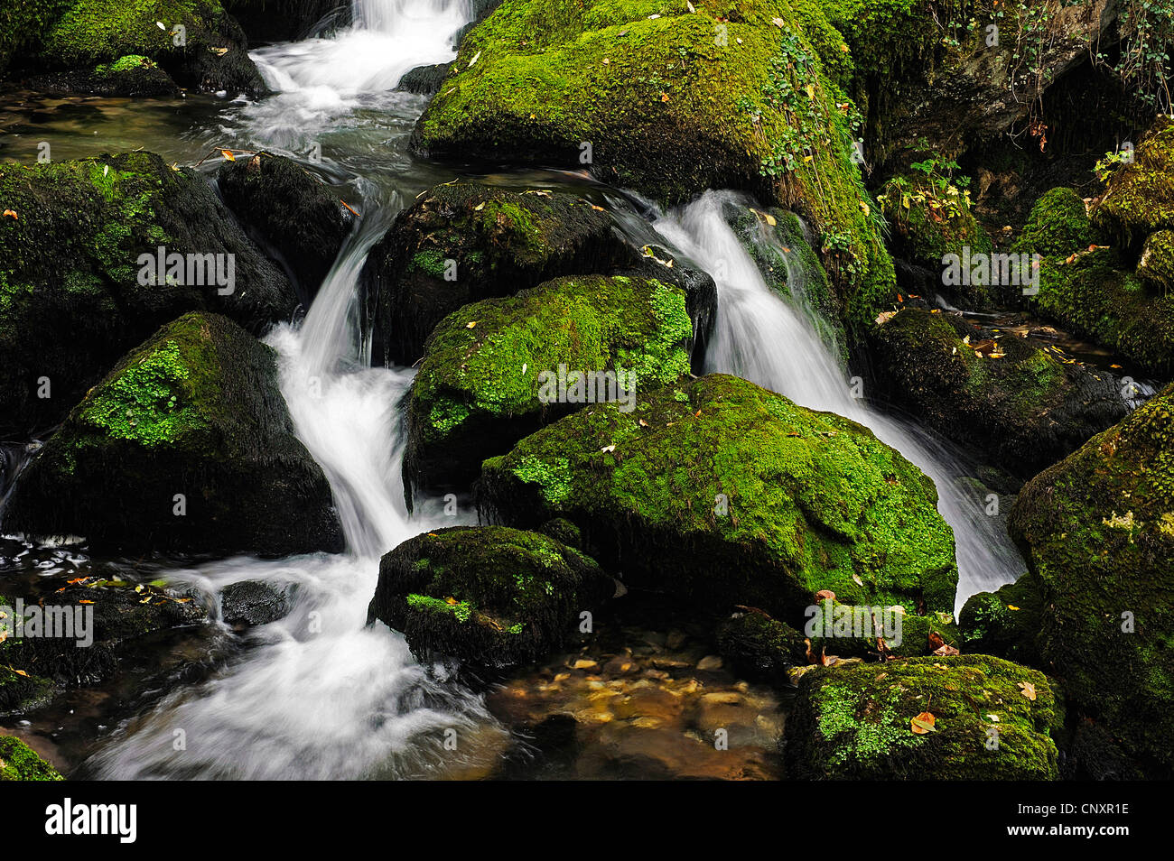 mountain creek and mossy rocks, Canyon of Furon, France, Isere, Canyon du Furon, Sassenage Stock Photo