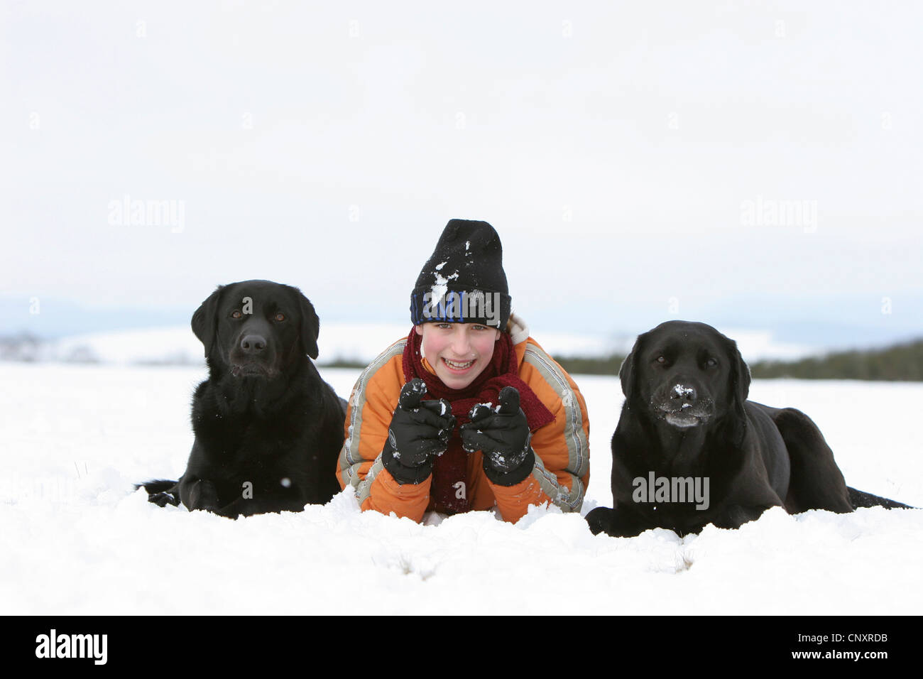 Labrador Retriever (Canis lupus f. familiaris), girl lying in snow between two dogs Stock Photo