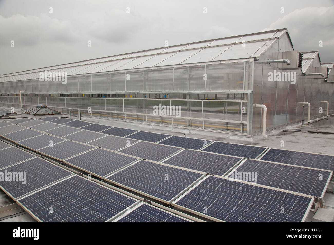 solar panels on greenhouse roof Stock Photo Alamy
