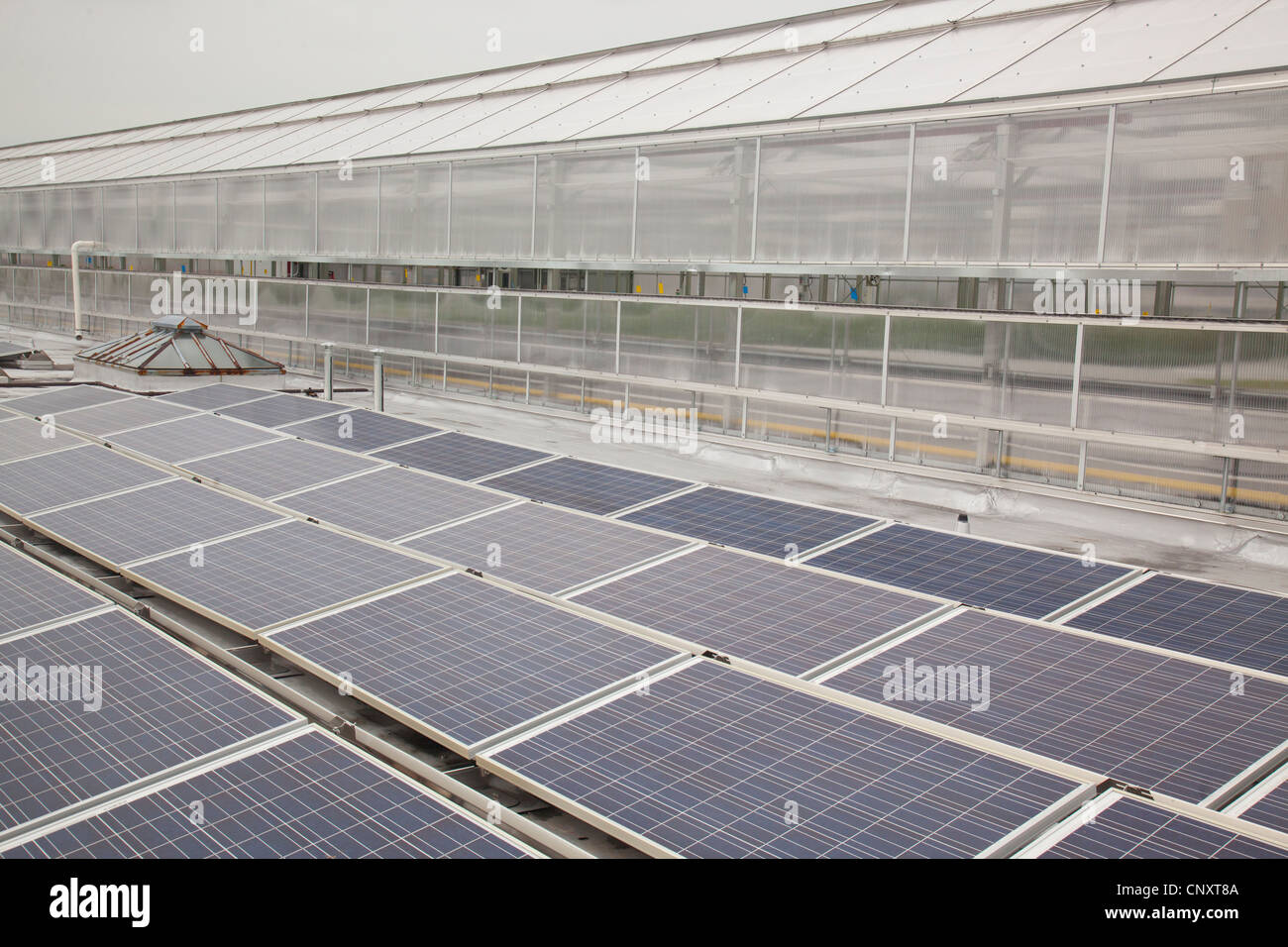 solar panels on greenhouse roof Stock Photo Alamy