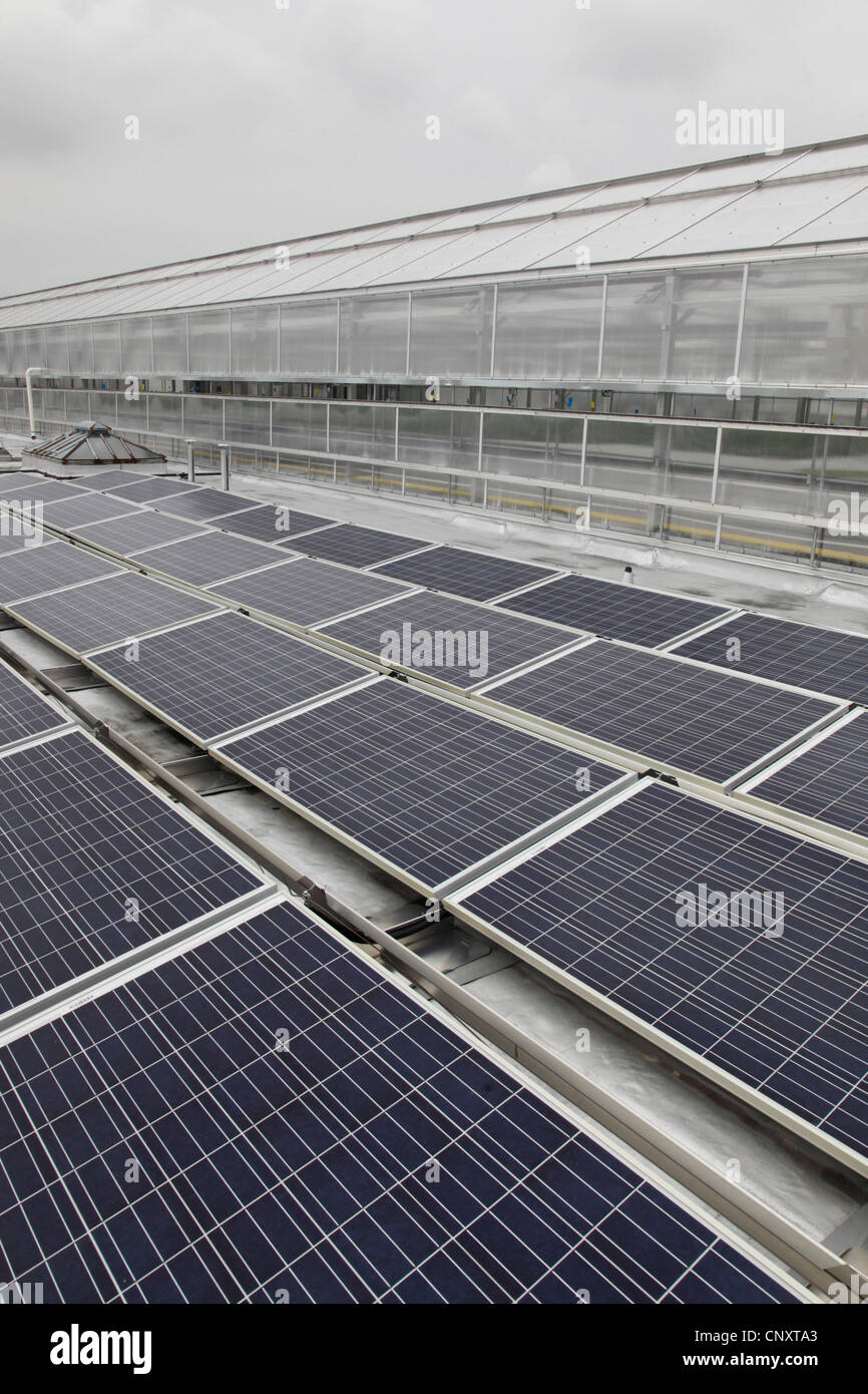 solar panels on greenhouse roof Stock Photo Alamy