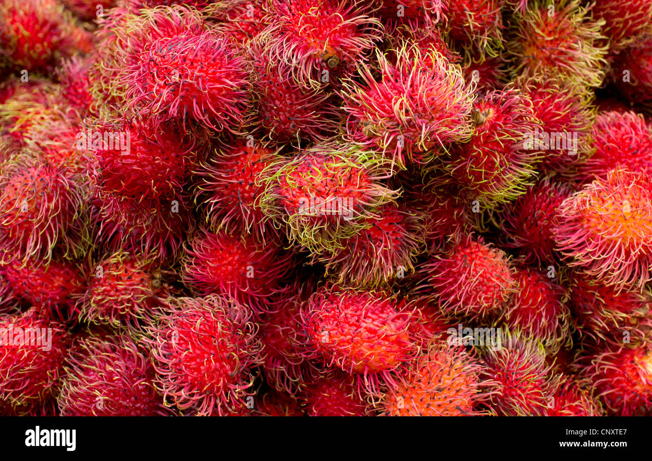 Rambutan, a sweet Asian fruit at a Chinatown produce market in New York City Stock Photo