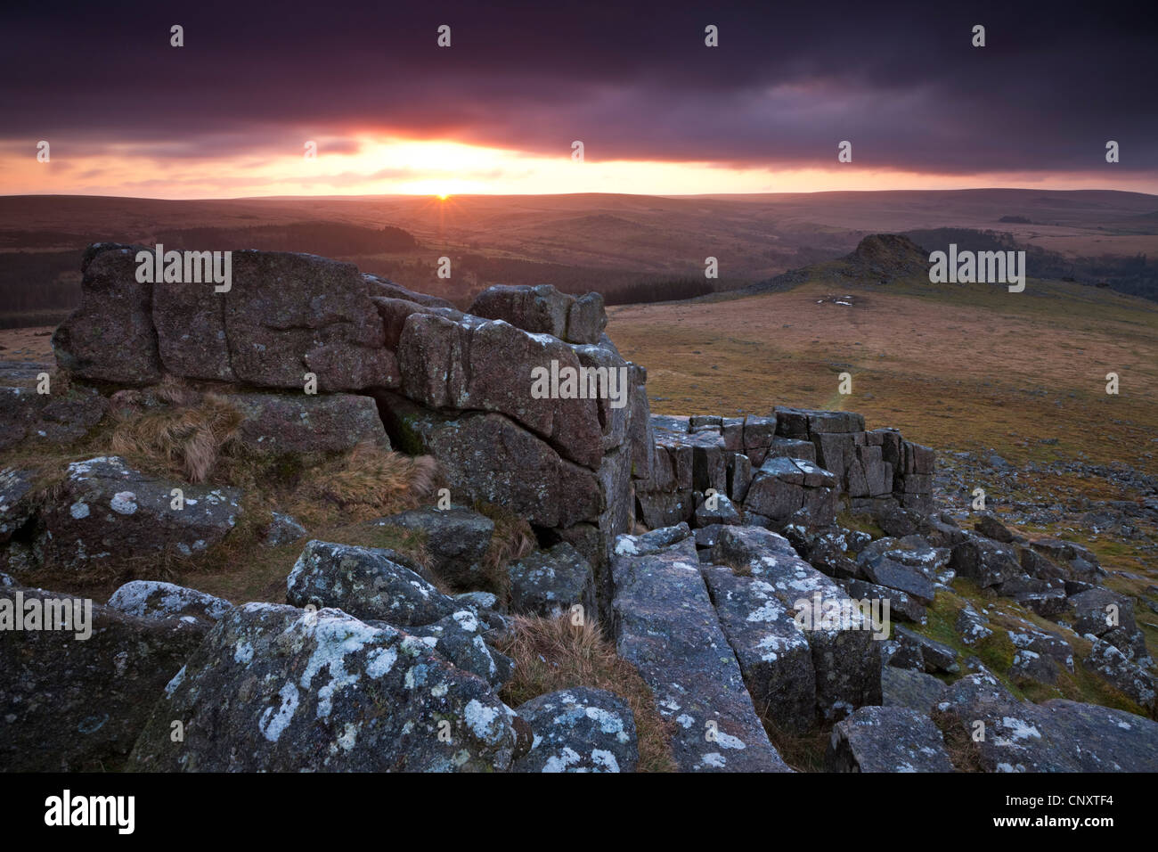 Leather Tor from Sharpitor at sunrise, Dartmoor, Devon, England. Winter (March) 2012. Stock Photo