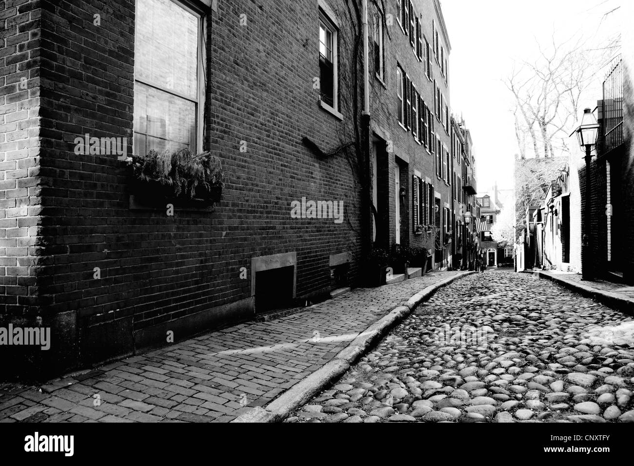 ACORN STREET BEACON HILL BOSTON MASSACHUSETTS COBBLE STREET MA CITY