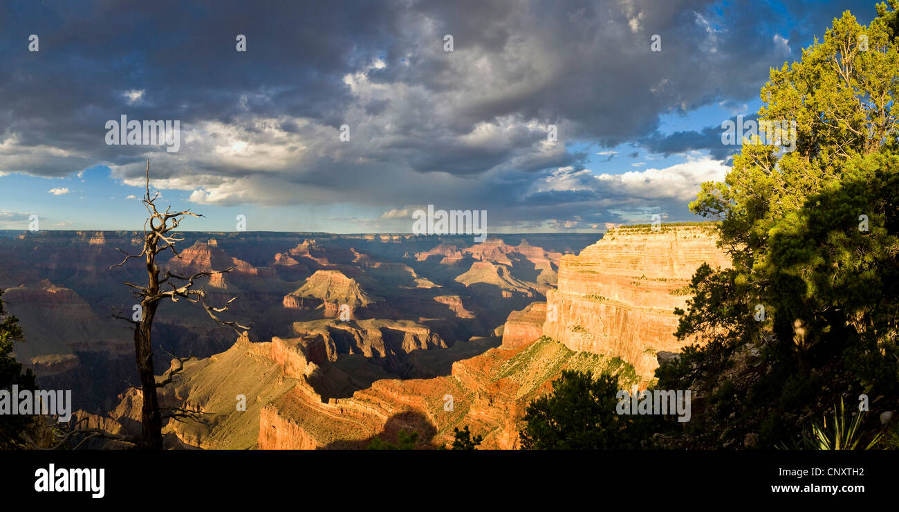 panoramic view from Mohave Point in South of Grand Canyon, USA, Arizona, Grand Canyon National Park Stock Photo
