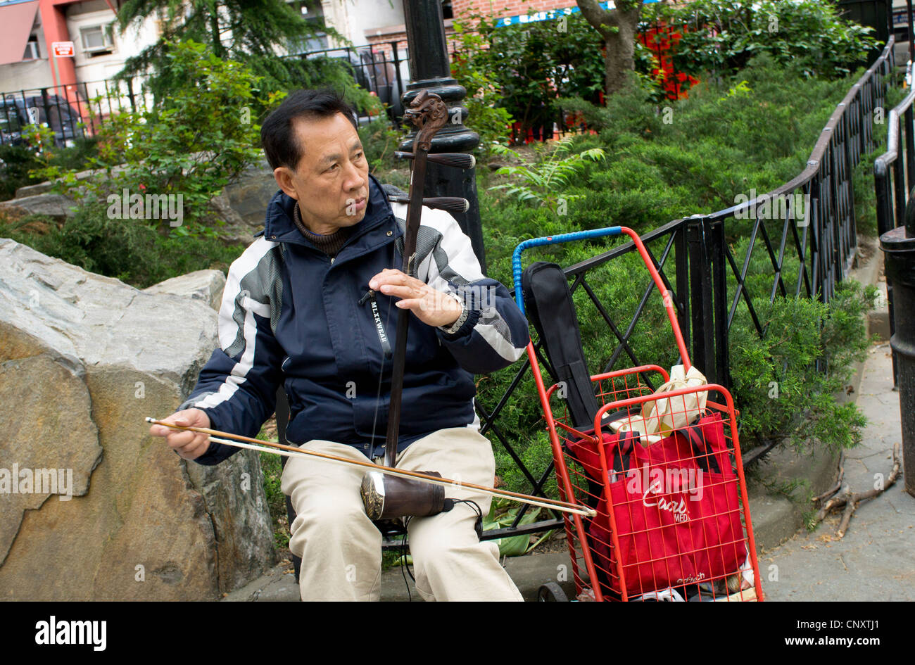 A Chinese man busker playing the erhu, a traditional spike fiddle, in Columbus Park in Chinatown, New York City. Stock Photo