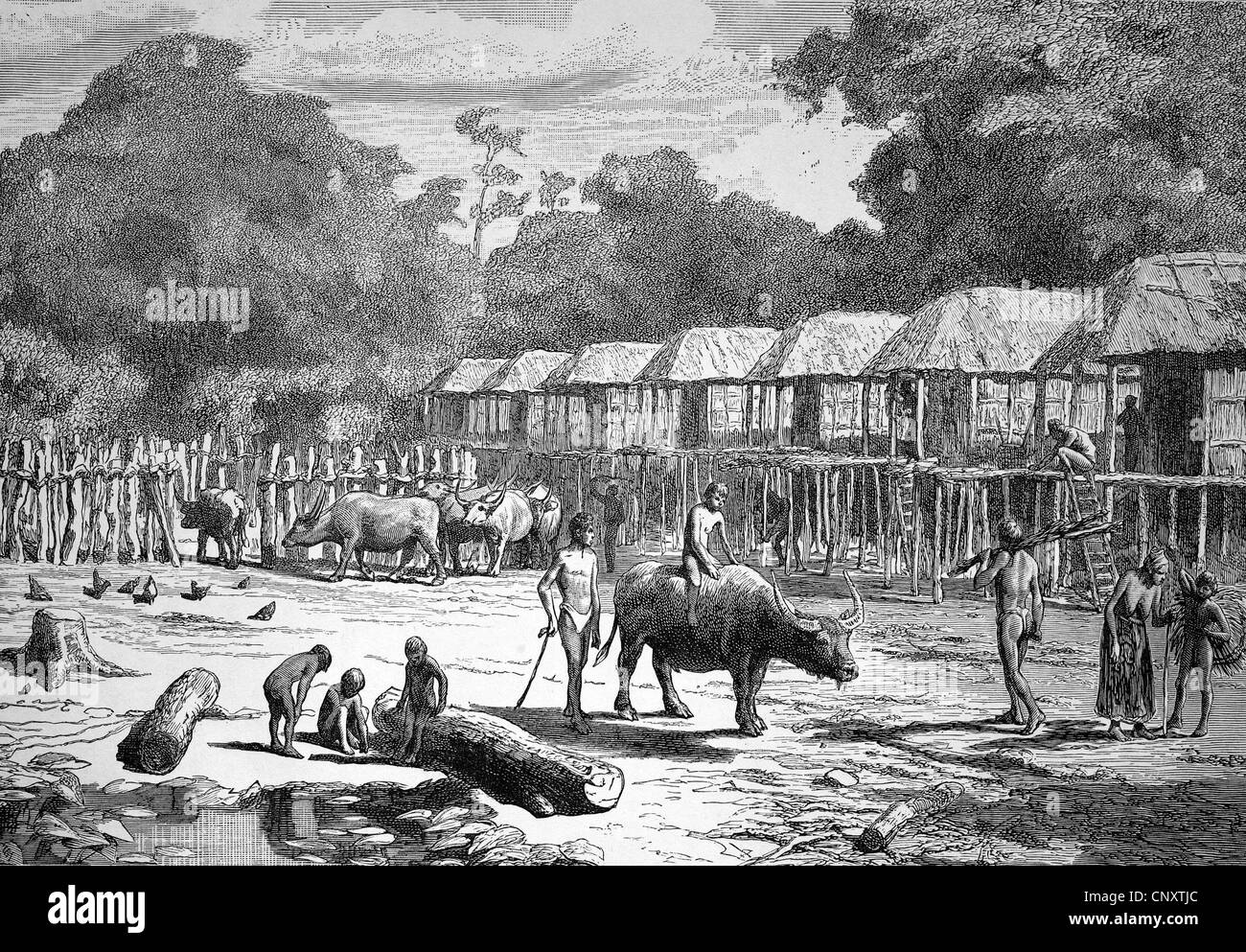 Country scene in Laos, historical illustration, wood engraving, circa 1888 Stock Photo