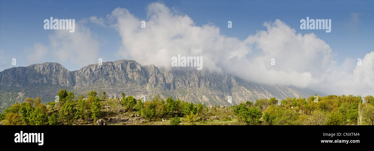 rock plateau looming behind a waste bush landscape, Turkey, Adyaman, Karadut Stock Photo