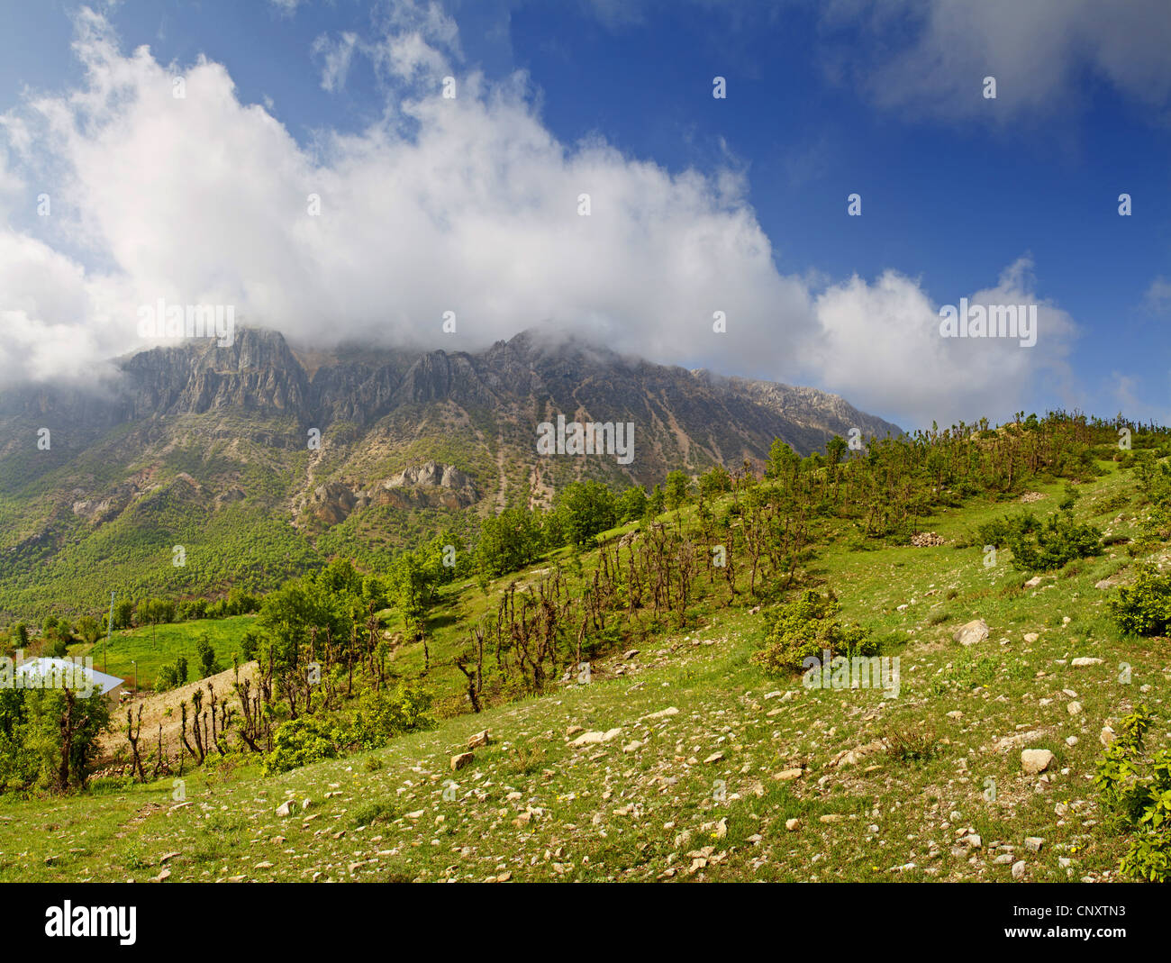 group of mountains looming behind a waste bush landscape, Turkey, Adyaman, Karadut Stock Photo