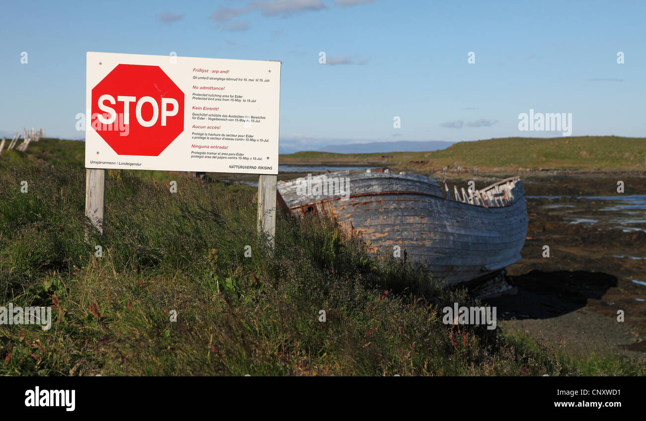 shipwreckin coast landscape, Iceland, Flatey Stock Photo