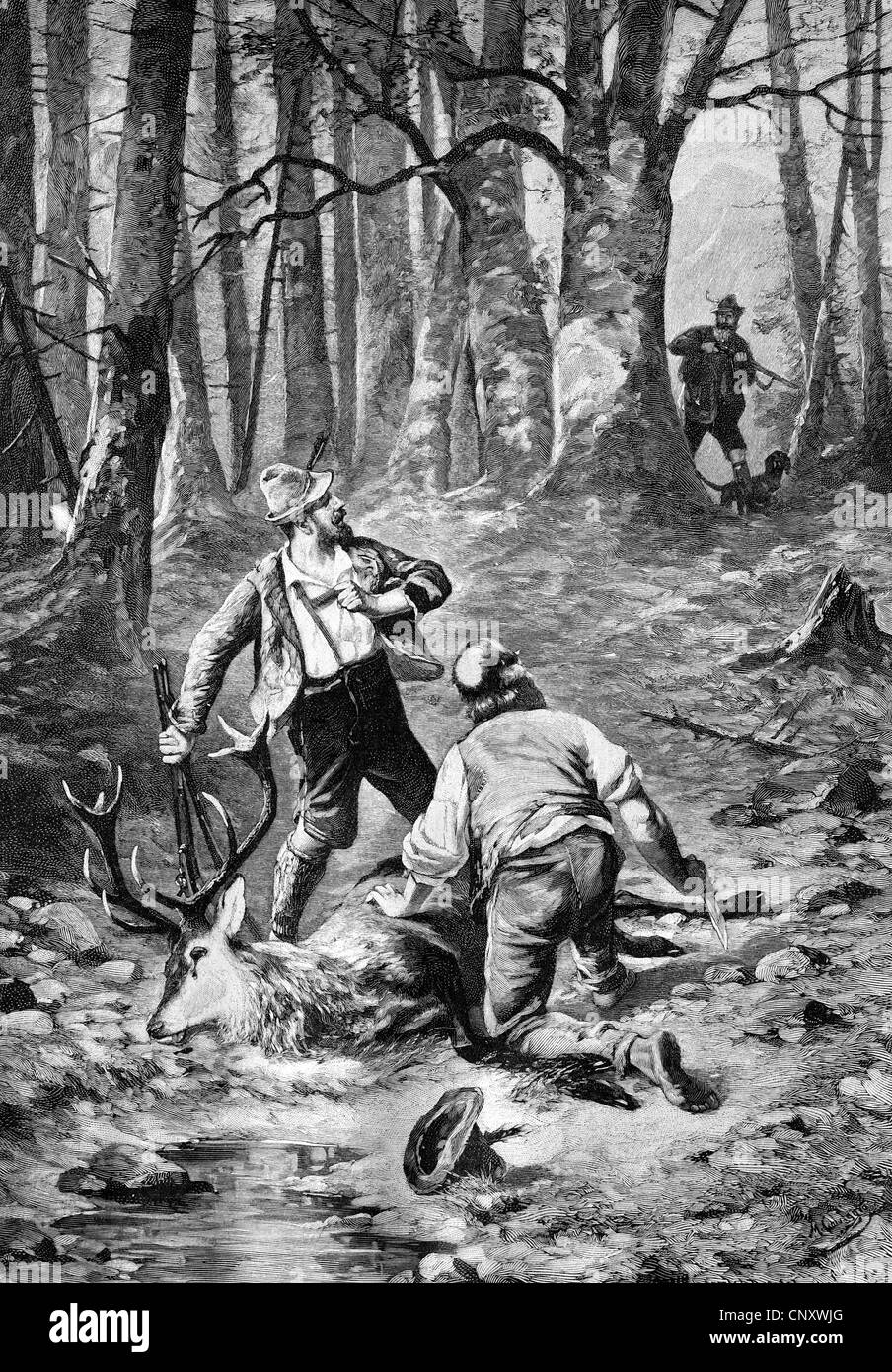 Caught poachers, historical illustration, wood engraving, about 1888 Stock Photo