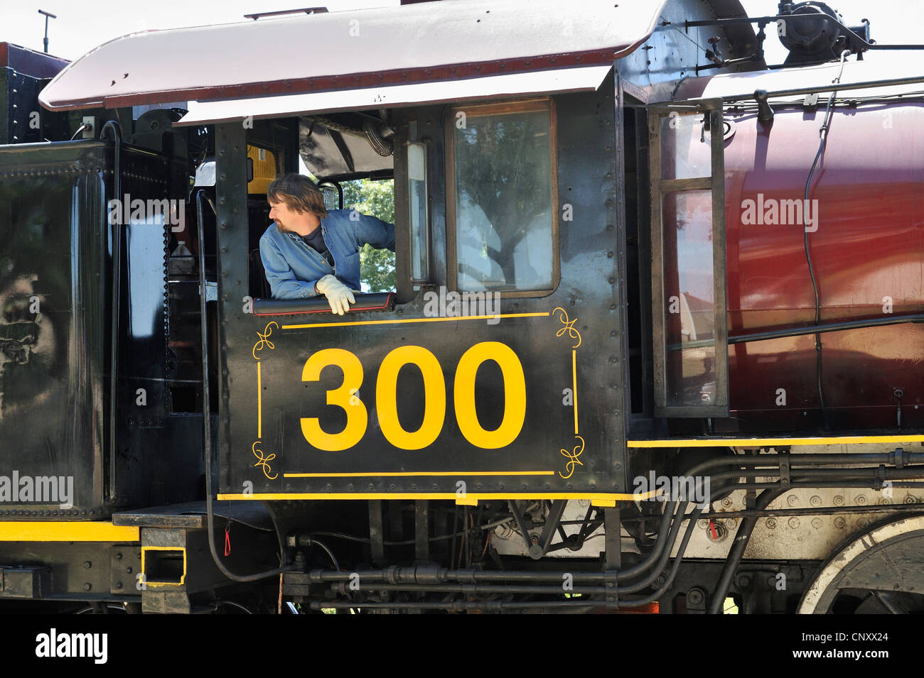 Engine 300, Texas State Railroad, Palestine, TX 120421 30330 Stock Photo