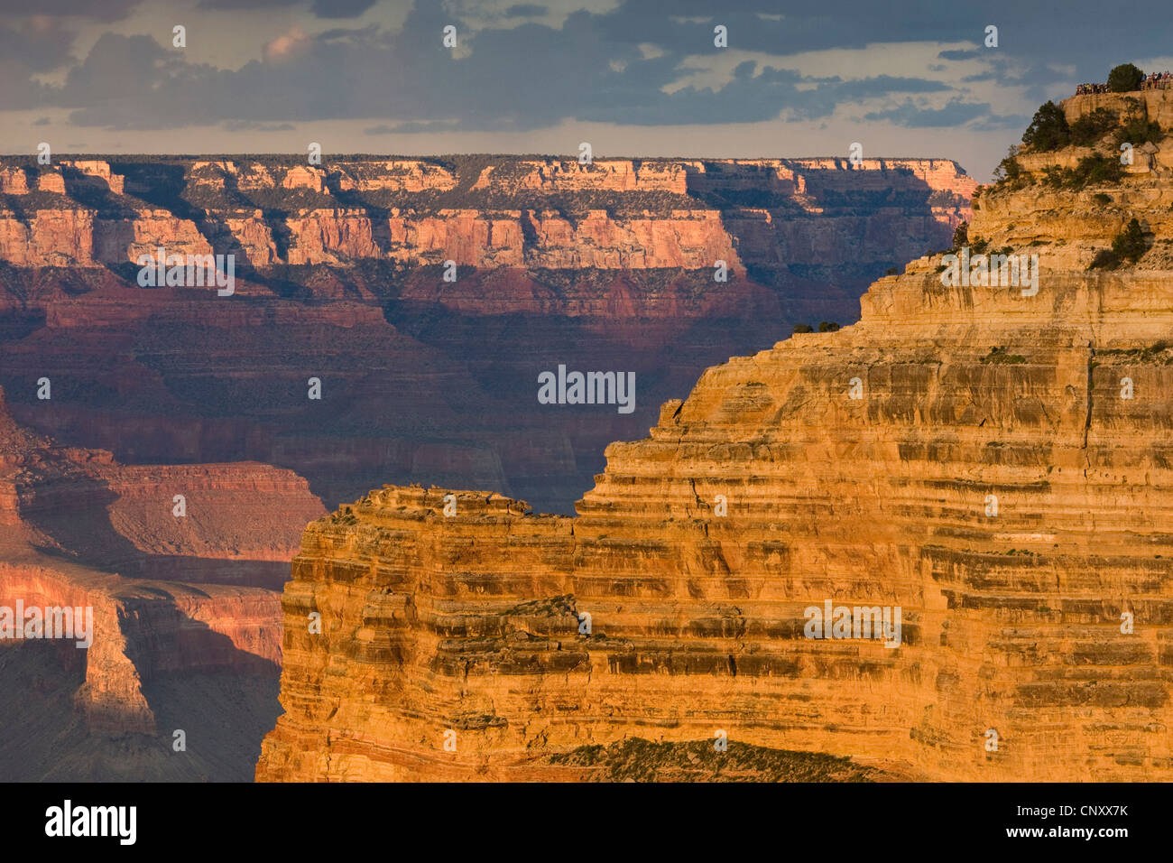 light and shadow at rock walls of Grand Canyon, souther edge from Mohave Point in evening light, USA, Arizona, Grand Canyon National Park Stock Photo